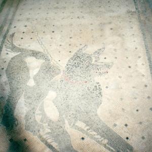 Pompei bejáratot „őrző” kutya mozaik, fotó: Kissné Kovács Ágnes