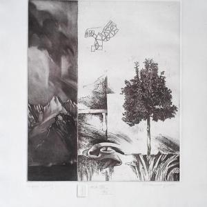 Fölfelé, 2003, papír, lágyalap, mezzotinto, 25x30 cm