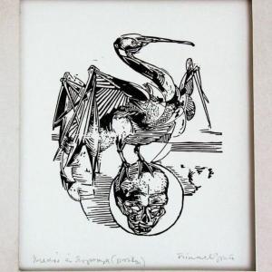 Madár és koponya, 1983 k, papír, linómetszet, 21x18 cm